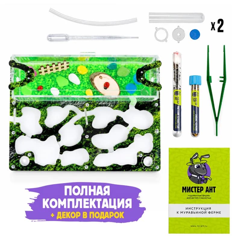 Муравьиная ферма для ребёнка: как выбрать и не ошибиться