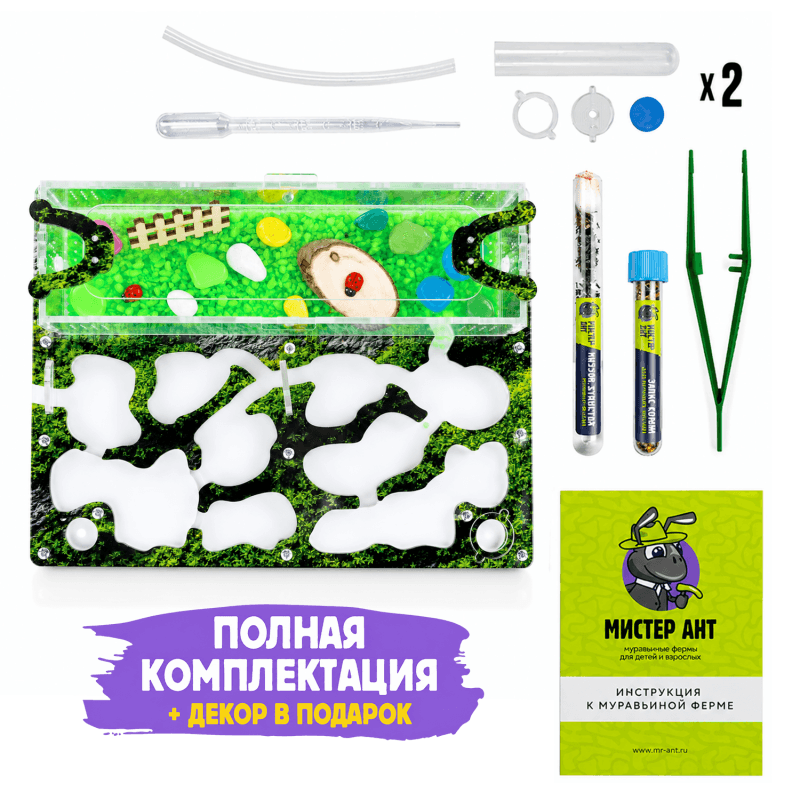 Муравьиная ферма Медиум «Горный мох» с муравьями